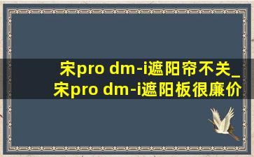 宋pro dm-i遮阳帘不关_宋pro dm-i遮阳板很廉价